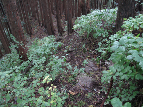 20181009hike (177)